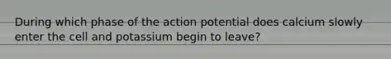 During which phase of the action potential does calcium slowly enter the cell and potassium begin to leave?