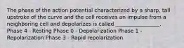 The phase of the action potential characterized by a sharp, tall upstroke of the curve and the cell receives an impulse from a neighboring cell and depolarizes is called _________________. Phase 4 - Resting Phase 0 - Depolarization Phase 1 - Repolarization Phase 3 - Rapid repolarization