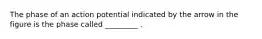 The phase of an action potential indicated by the arrow in the figure is the phase called _________ .