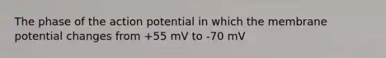 The phase of the action potential in which the membrane potential changes from +55 mV to -70 mV