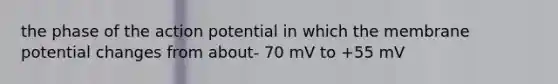 the phase of the action potential in which the membrane potential changes from about- 70 mV to +55 mV