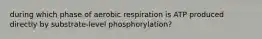 during which phase of aerobic respiration is ATP produced directly by substrate-level phosphorylation?