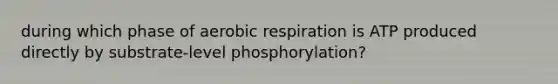 during which phase of aerobic respiration is ATP produced directly by substrate-level phosphorylation?