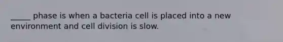 _____ phase is when a bacteria cell is placed into a new environment and cell division is slow.