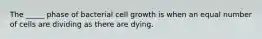 The _____ phase of bacterial cell growth is when an equal number of cells are dividing as there are dying.