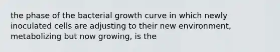 the phase of the bacterial growth curve in which newly inoculated cells are adjusting to their new environment, metabolizing but now growing, is the