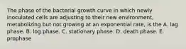 The phase of the bacterial growth curve in which newly inoculated cells are adjusting to their new environment, metabolizing but not growing at an exponential rate, is the A. lag phase. B. log phase. C. stationary phase. D. death phase. E. prophase