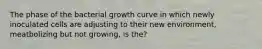 The phase of the bacterial growth curve in which newly inoculated cells are adjusting to their new environment, meatbolizing but not growing, is the?