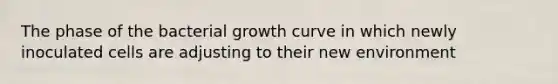 The phase of the bacterial growth curve in which newly inoculated cells are adjusting to their new environment