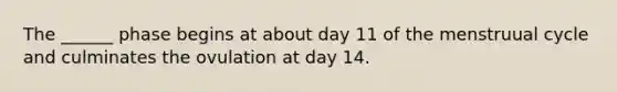 The ______ phase begins at about day 11 of the menstruual cycle and culminates the ovulation at day 14.