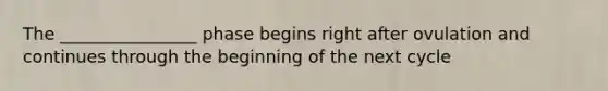 The ________________ phase begins right after ovulation and continues through the beginning of the next cycle