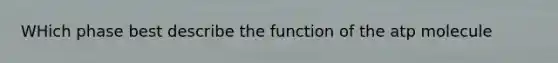 WHich phase best describe the function of the atp molecule