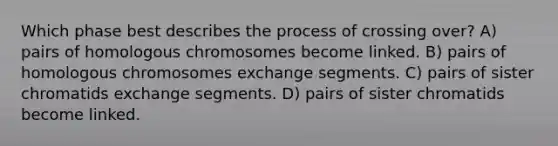 Which phase best describes the process of crossing over? A) pairs of homologous chromosomes become linked. B) pairs of homologous chromosomes exchange segments. C) pairs of sister chromatids exchange segments. D) pairs of sister chromatids become linked.