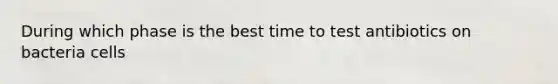 During which phase is the best time to test antibiotics on bacteria cells