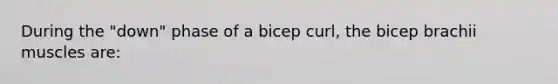 During the "down" phase of a bicep curl, the bicep brachii muscles are: