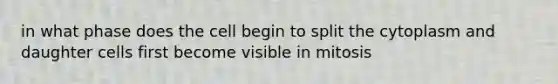 in what phase does the cell begin to split the cytoplasm and daughter cells first become visible in mitosis