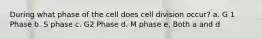 During what phase of the cell does cell division occur? a. G 1 Phase b. S phase c. G2 Phase d. M phase e. Both a and d