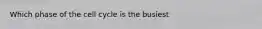 Which phase of the cell cycle is the busiest