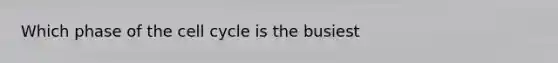 Which phase of the cell cycle is the busiest