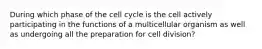 During which phase of the cell cycle is the cell actively participating in the functions of a multicellular organism as well as undergoing all the preparation for cell division?