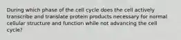 During which phase of the cell cycle does the cell actively transcribe and translate protein products necessary for normal cellular structure and function while not advancing the cell cycle?