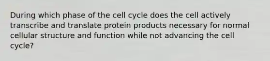 During which phase of the <a href='https://www.questionai.com/knowledge/keQNMM7c75-cell-cycle' class='anchor-knowledge'>cell cycle</a> does the cell actively transcribe and translate protein products necessary for normal cellular structure and function while not advancing the cell cycle?