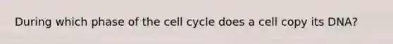 During which phase of the cell cycle does a cell copy its DNA?