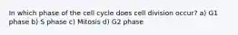 In which phase of the cell cycle does cell division occur? a) G1 phase b) S phase c) Mitosis d) G2 phase