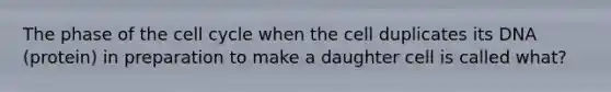 The phase of the cell cycle when the cell duplicates its DNA (protein) in preparation to make a daughter cell is called what?