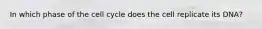 In which phase of the cell cycle does the cell replicate its DNA?