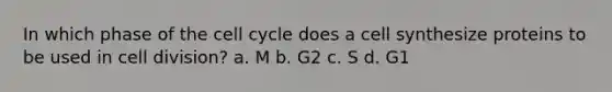 In which phase of the cell cycle does a cell synthesize proteins to be used in cell division? a. M b. G2 c. S d. G1