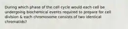 During which phase of the cell cycle would each cell be undergoing biochemical events required to prepare for cell division & each chromosome consists of two identical chromatids?