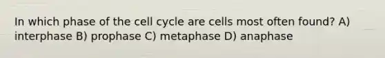 In which phase of the cell cycle are cells most often found? A) interphase B) prophase C) metaphase D) anaphase