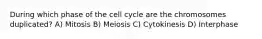 During which phase of the cell cycle are the chromosomes duplicated? A) Mitosis B) Meiosis C) Cytokinesis D) Interphase