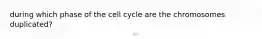 during which phase of the cell cycle are the chromosomes duplicated?