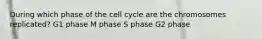 During which phase of the cell cycle are the chromosomes replicated? G1 phase M phase S phase G2 phase