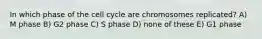 In which phase of the cell cycle are chromosomes replicated? A) M phase B) G2 phase C) S phase D) none of these E) G1 phase