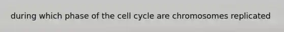 during which phase of the cell cycle are chromosomes replicated