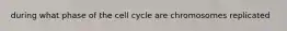 during what phase of the cell cycle are chromosomes replicated