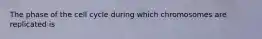 The phase of the cell cycle during which chromosomes are replicated is