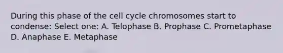 During this phase of the cell cycle chromosomes start to condense: Select one: A. Telophase B. Prophase C. Prometaphase D. Anaphase E. Metaphase