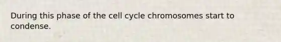 During this phase of the cell cycle chromosomes start to condense.