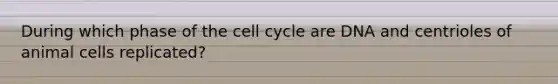 During which phase of the cell cycle are DNA and centrioles of animal cells replicated?