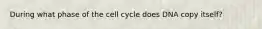 During what phase of the cell cycle does DNA copy itself?