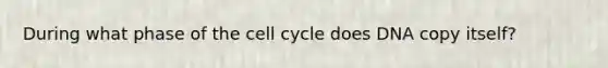 During what phase of the cell cycle does DNA copy itself?