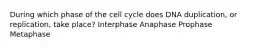 During which phase of the cell cycle does DNA duplication, or replication, take place? Interphase Anaphase Prophase Metaphase