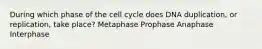 During which phase of the cell cycle does DNA duplication, or replication, take place? Metaphase Prophase Anaphase Interphase