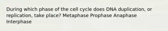 During which phase of the cell cycle does DNA duplication, or replication, take place? Metaphase Prophase Anaphase Interphase