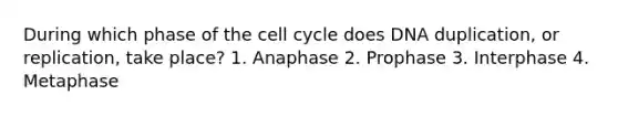 During which phase of the cell cycle does DNA duplication, or replication, take place? 1. Anaphase 2. Prophase 3. Interphase 4. Metaphase