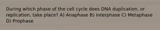 During which phase of the cell cycle does DNA duplication, or replication, take place? A) Anaphase B) Interphase C) Metaphase D) Prophase